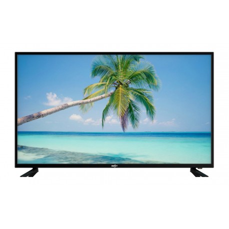 WINSTAR TV50SV5 50'' Τηλεόραση