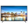 Winstar TV55SV5 55'' Τηλεόραση (2022)