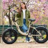 NILOX E-BIKE X9 SAND Ηλεκτρικό ποδήλατο Μπεζ (30NXEB20VFM2V)